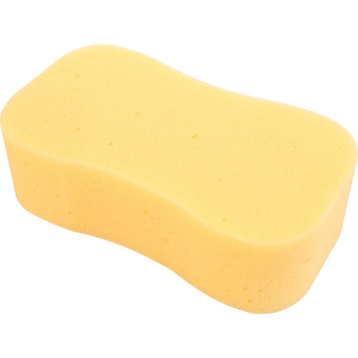 Sponge XL