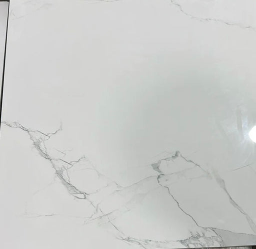 Phonix Glossy 60x60 Wall & Floor Tile