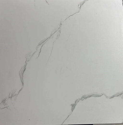 Phonix Mate 60x60 Wall & Floor Tile