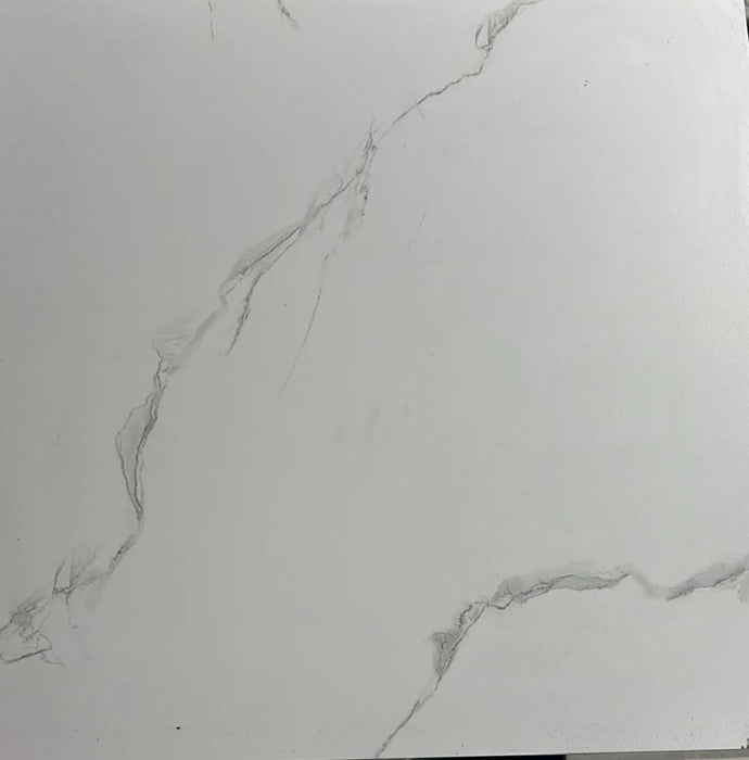 Phonix Mate 60x60 Wall & Floor Tile