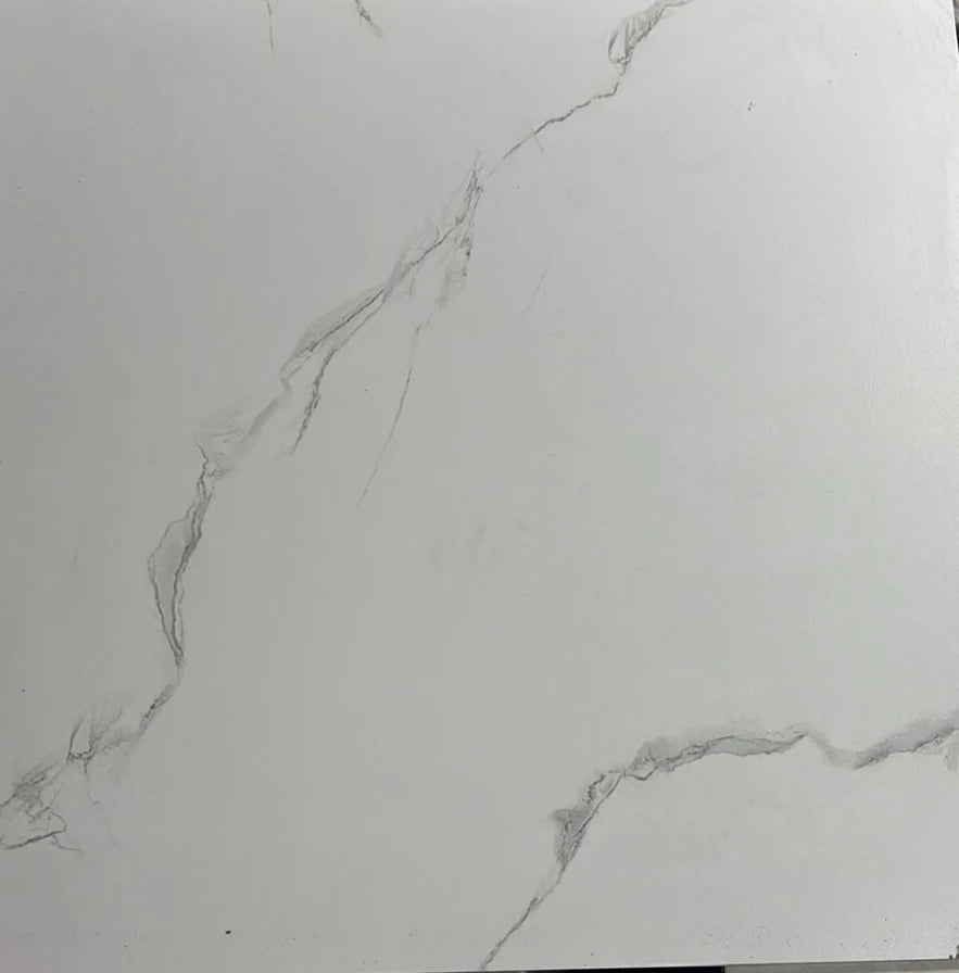 Phonix Mate 60x60 Wall & Floor Tile