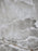 Horn Bill 60cm x 60cm Wall & Floor Tile