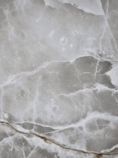 Horn Bill 60cm x 60cm Wall & Floor Tile